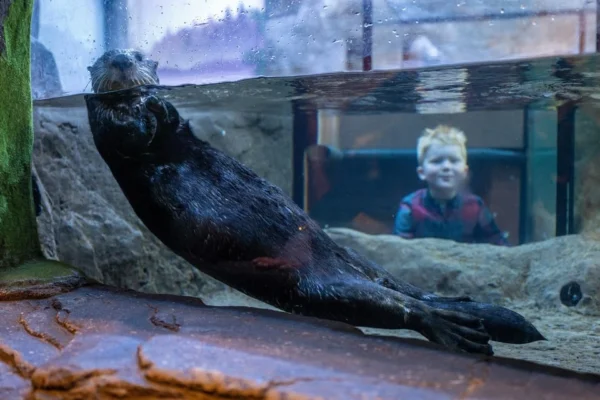 National Sea Life Centre Entrance Ticket