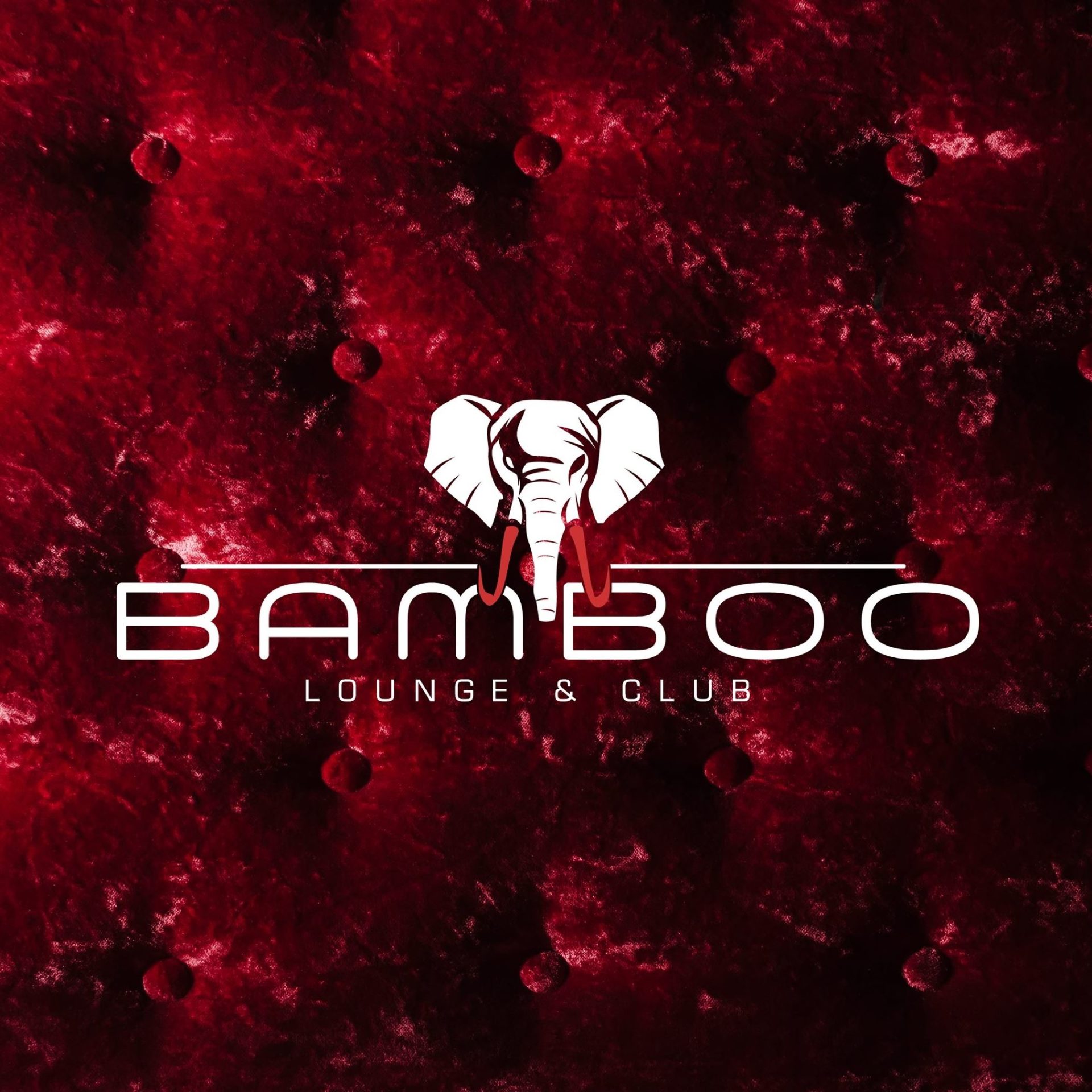 Bamboo Firenze