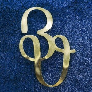 Logo Blue Velvet