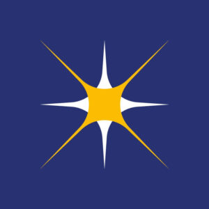 Vivido Logo